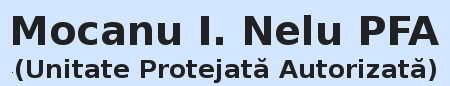Mocanu I. Nelu PFA